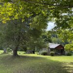 A log cabin tucked away and surrounded by green trees in a field.