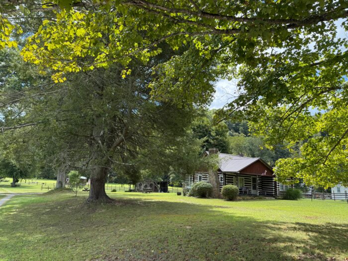 A log cabin tucked away and surrounded by green trees in a field.