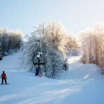 Snowboarder gliding down a sunlit slope at Winterplace Ski Resort, surrounded by snow-covered trees and a ski lift in the background.