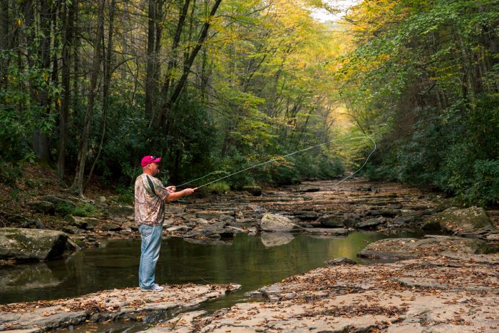 Man fishing along the riverbank at a West Virginia state park surrounded by lush greenery