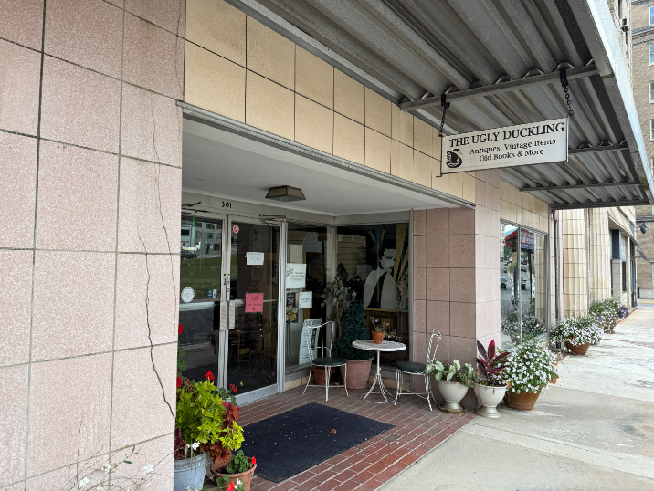 Entrance to The Ugly Duckling antique shop, featuring a sign that reads 'Antiques, Vintage Items, Old Books & More,' potted plants, and a small outdoor seating area along the sidewalk.