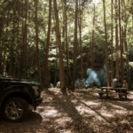 Image of Camp Creek, showing a shaded wooded campsite with a black pickup truck parked on the left, a picnic table with two people seated on the right, and smoke rising from a campfire in the background.