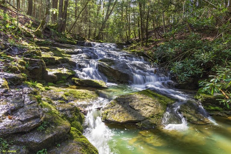 Experience Mercer County's waterfall tour - Mercer County WV : Mercer ...