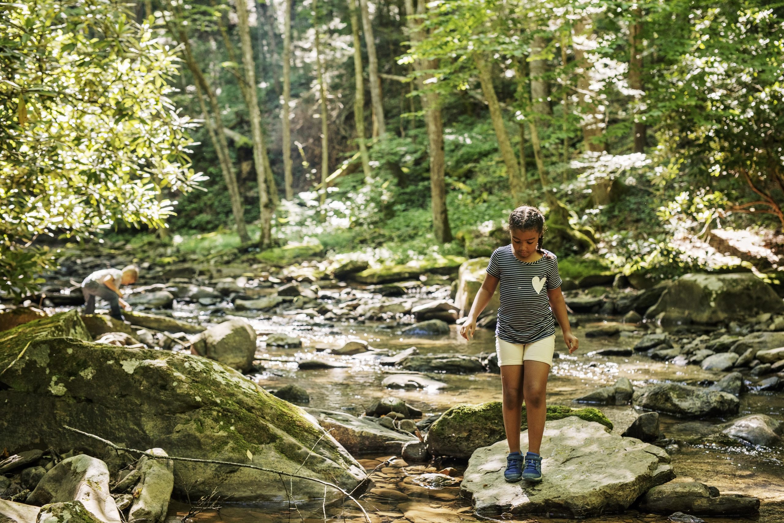 Kid Friendly Waterfalls Near Me