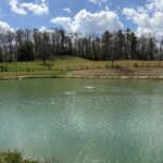 A calm pond with pale green water sits beneath a bright blue sky filled with large white clouds. Across the water, a grassy hillside rises toward a line of mostly leafless trees, with a few evergreens mixed in. Gentle ripples move across the pond, creating reflections of the sky and clouds.