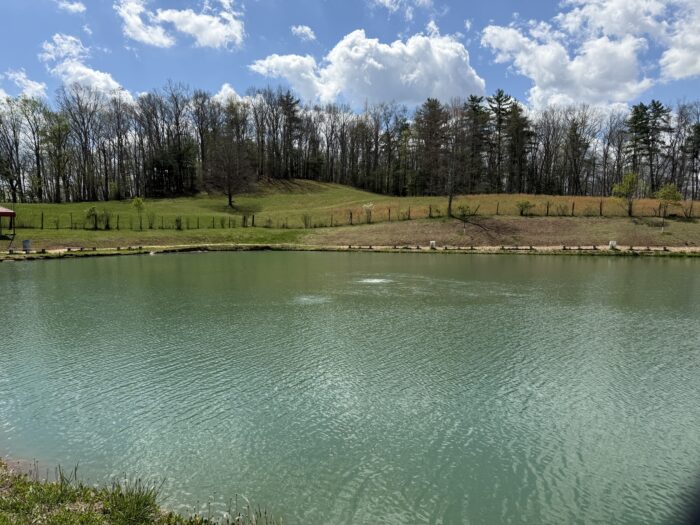 A calm pond with pale green water sits beneath a bright blue sky filled with large white clouds. Across the water, a grassy hillside rises toward a line of mostly leafless trees, with a few evergreens mixed in. Gentle ripples move across the pond, creating reflections of the sky and clouds.
