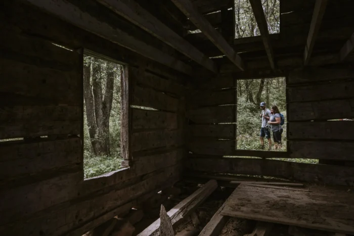 View from inside a rustic wooden structure looking out at two people standing in a forest clearing