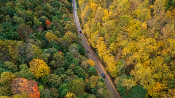 Aerial view of a dirt road cutting through a vibrant autumn forest. The trees display a spectacular palette of fall colors with bright yellows, deep greens, and touches of orange and red foliage. Two small vehicles can be seen traveling along the narrow unpaved road that winds through the colorful woodland. The bird's-eye perspective captures the contrast between the earthy road and the rich canopy of autumn trees.