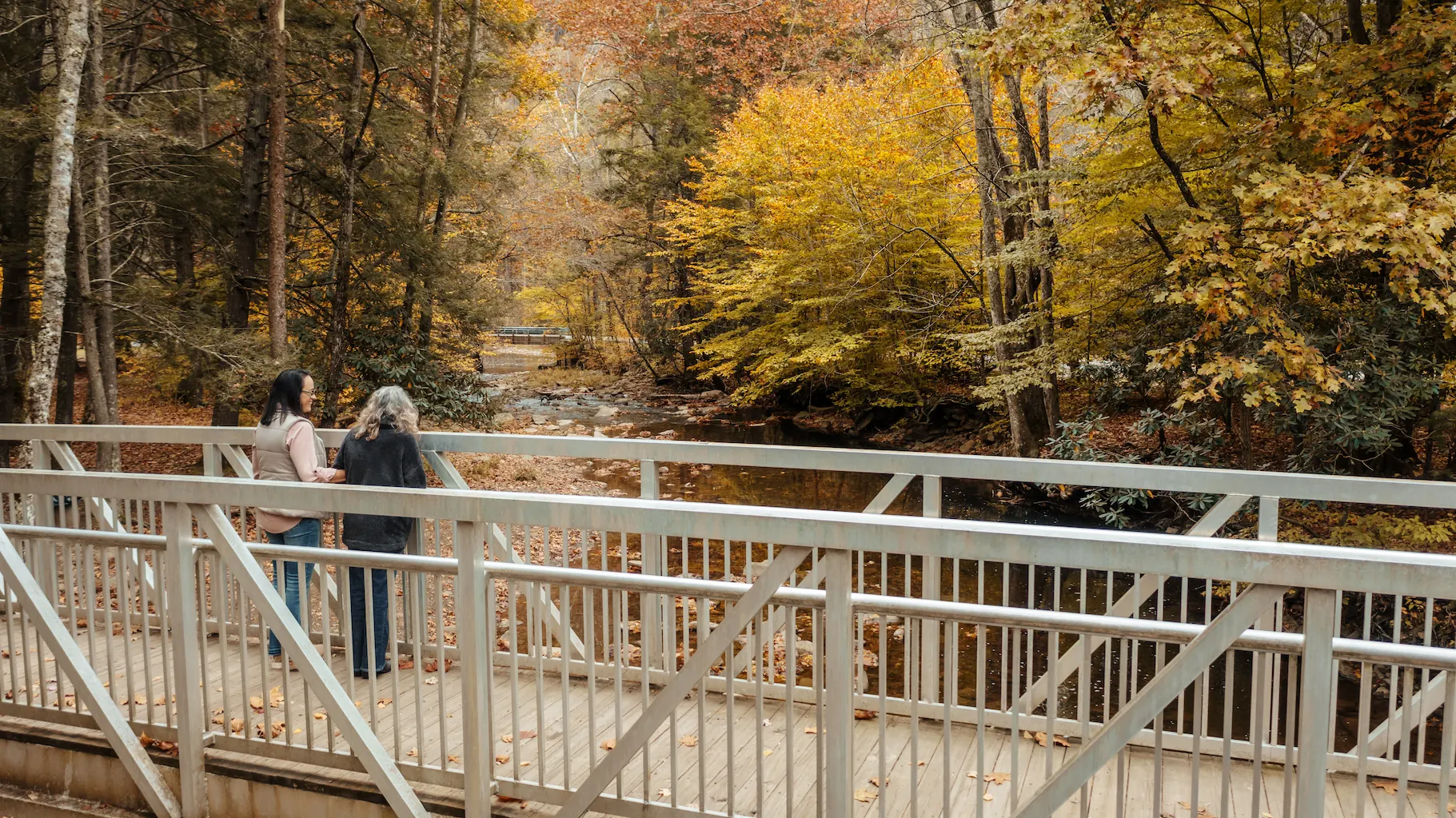 Two women pause on a walking bridge to admire the gentle stream and fall foliage
