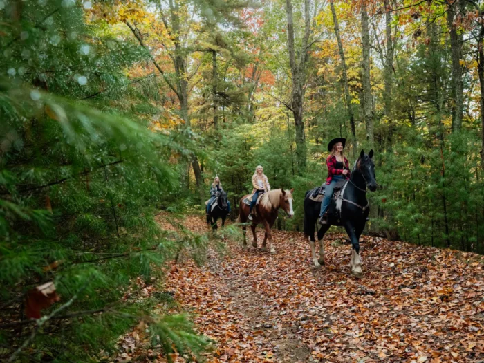 Three women ride horses along a leaf-covered trail through a colorful autumn forest in Mercer County, WV, enjoying a peaceful outdoor adventure surrounded by fall foliage.