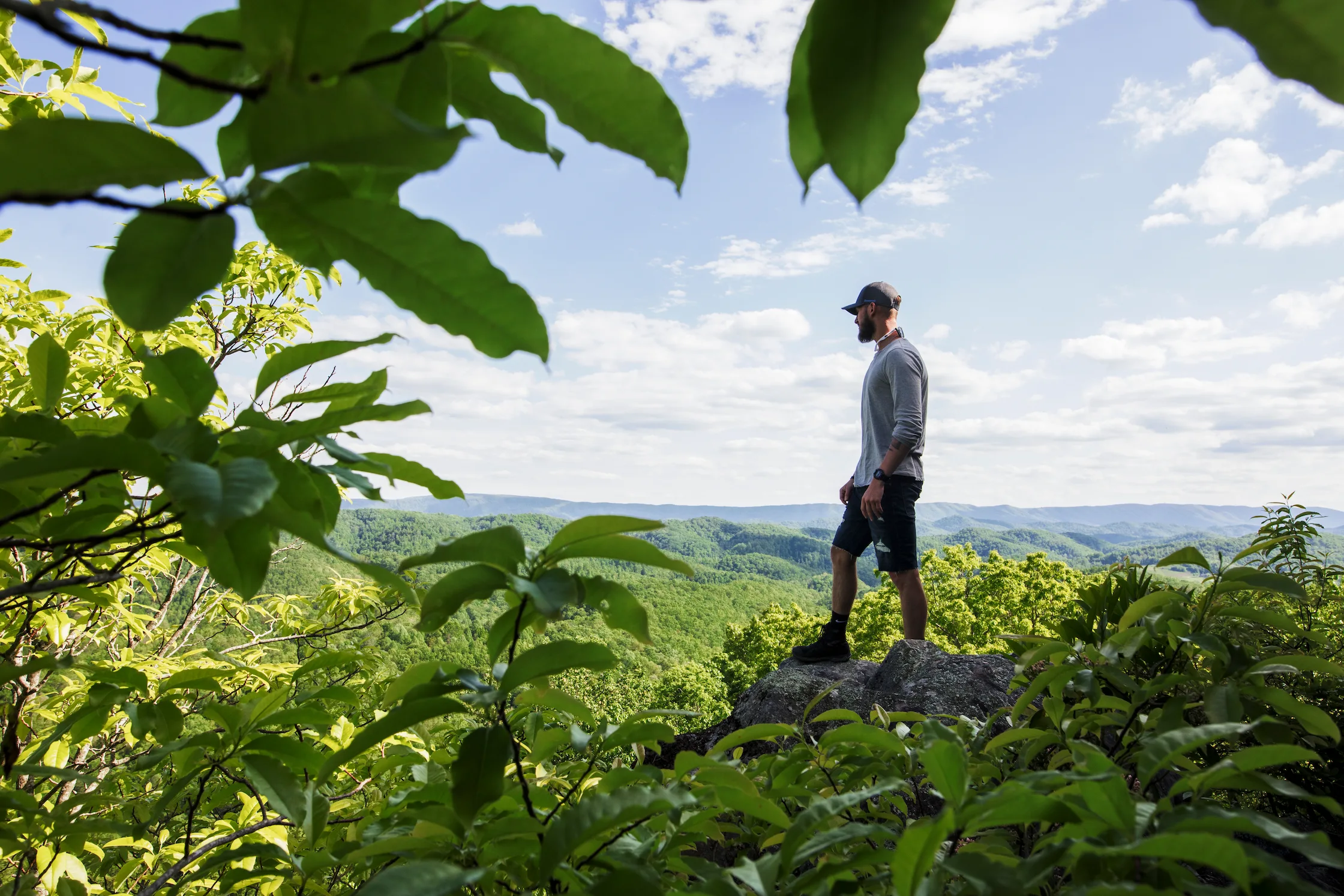 A man stands atop Pinnacle Rock, looking out over the vast Appalachian mountains. He is framed by rhododendron leaves
