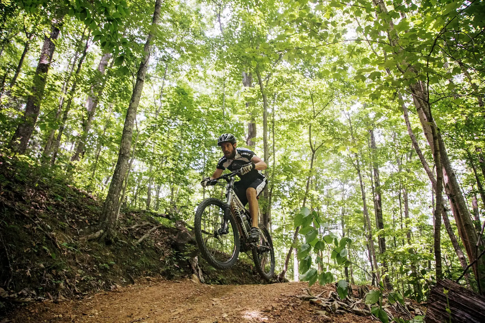 A bearded mountain biker, photographed mid-air on a biking trail. He is bracketed on either side by tall trees, whose leaves cast a gentle green glow across the scene