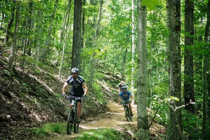 Three mountain bikers ride down a dirt trail through a lush, green forest on a sunny day