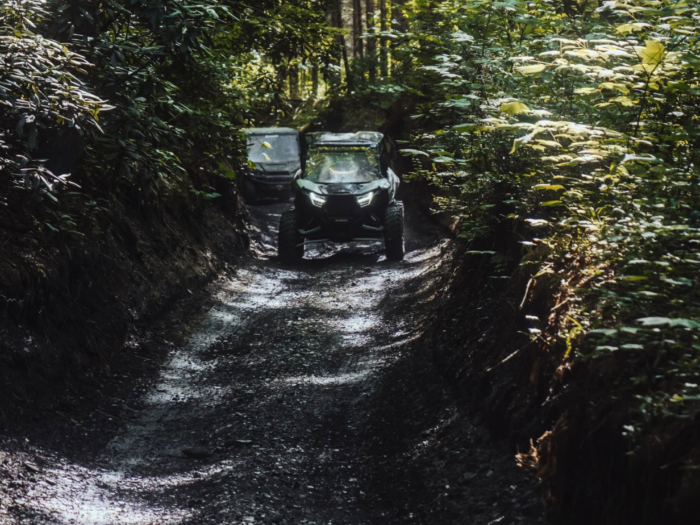 Alt text: Two ATVs ride down a dirt trail through a wooded area, surrounded by green bushes and trees as dust rises behind them.