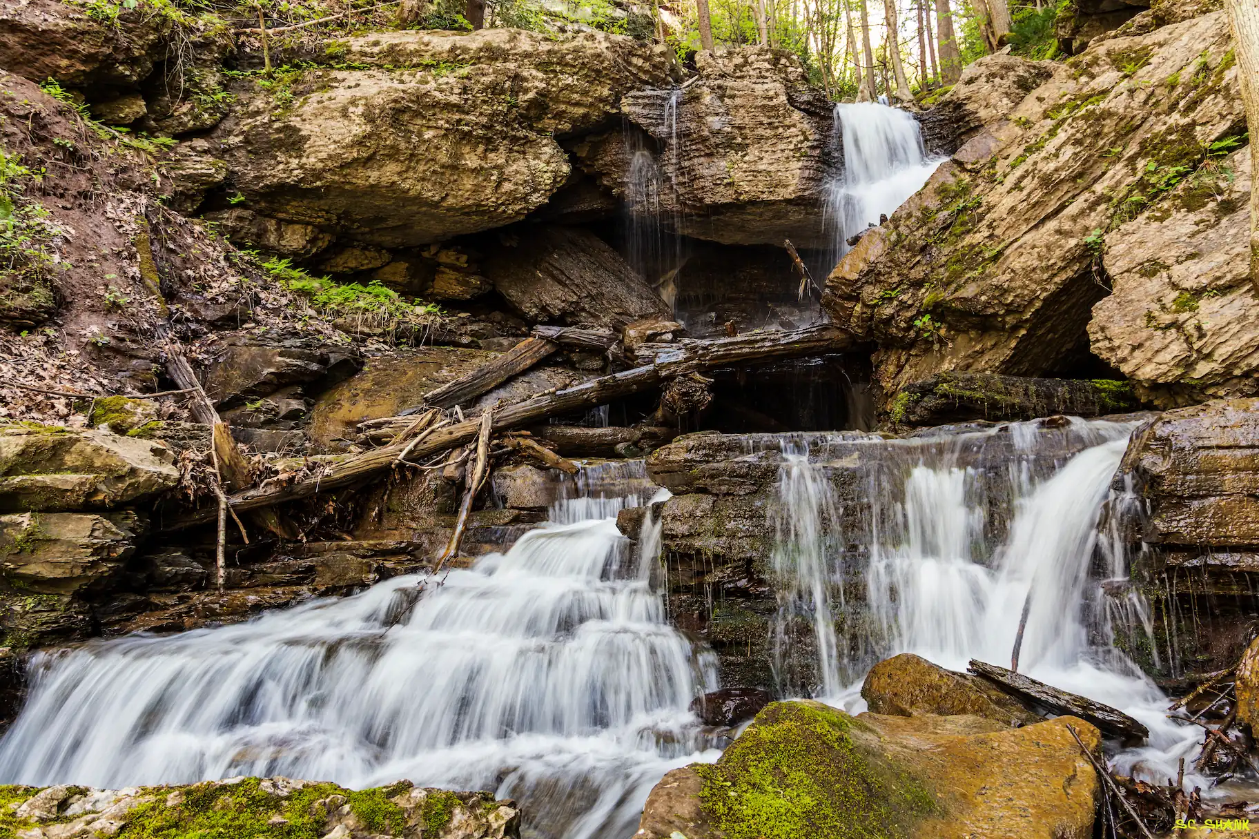Water cascades down the multiple tiers of White Oak Falls. The surrounding stones have patches of varying native mosses and lightly glisten from the waterfall's spray. S.C. Shank's signature is visible in the corner of the photo