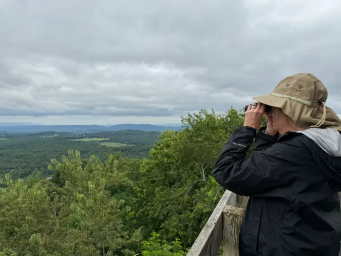 Person wearing a wide-brimmed hat and black jacket looking through binoculars from a wooden overlook, viewing a vast green landscape under a cloudy sky.