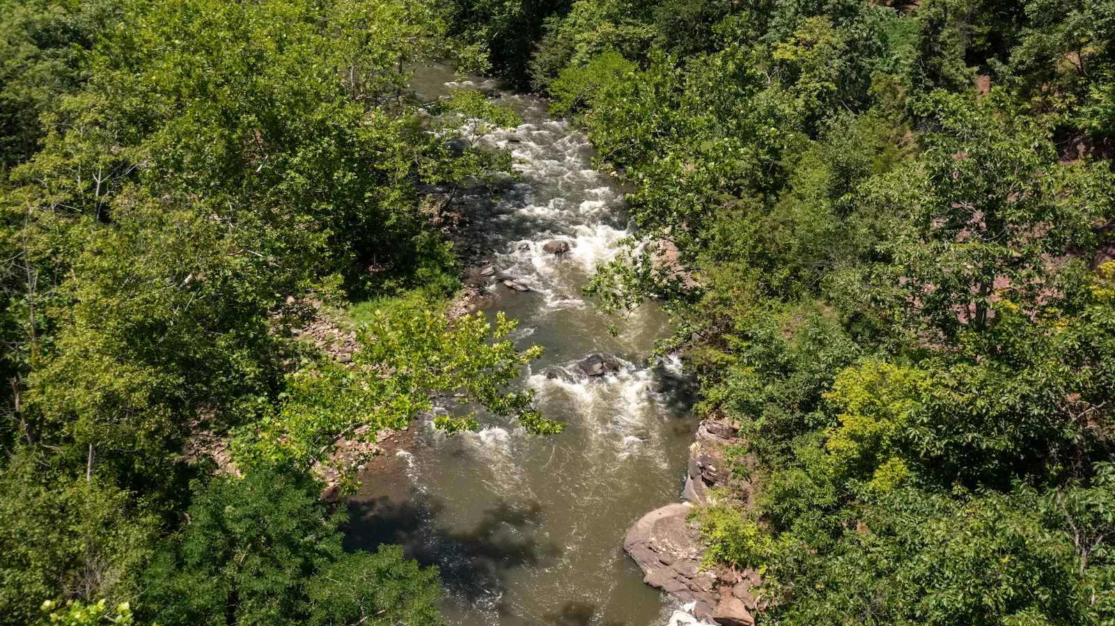 The Bluestone River winds playfully through lush trees and rocks, perfect terrain for casting a line or kicking back by the water.