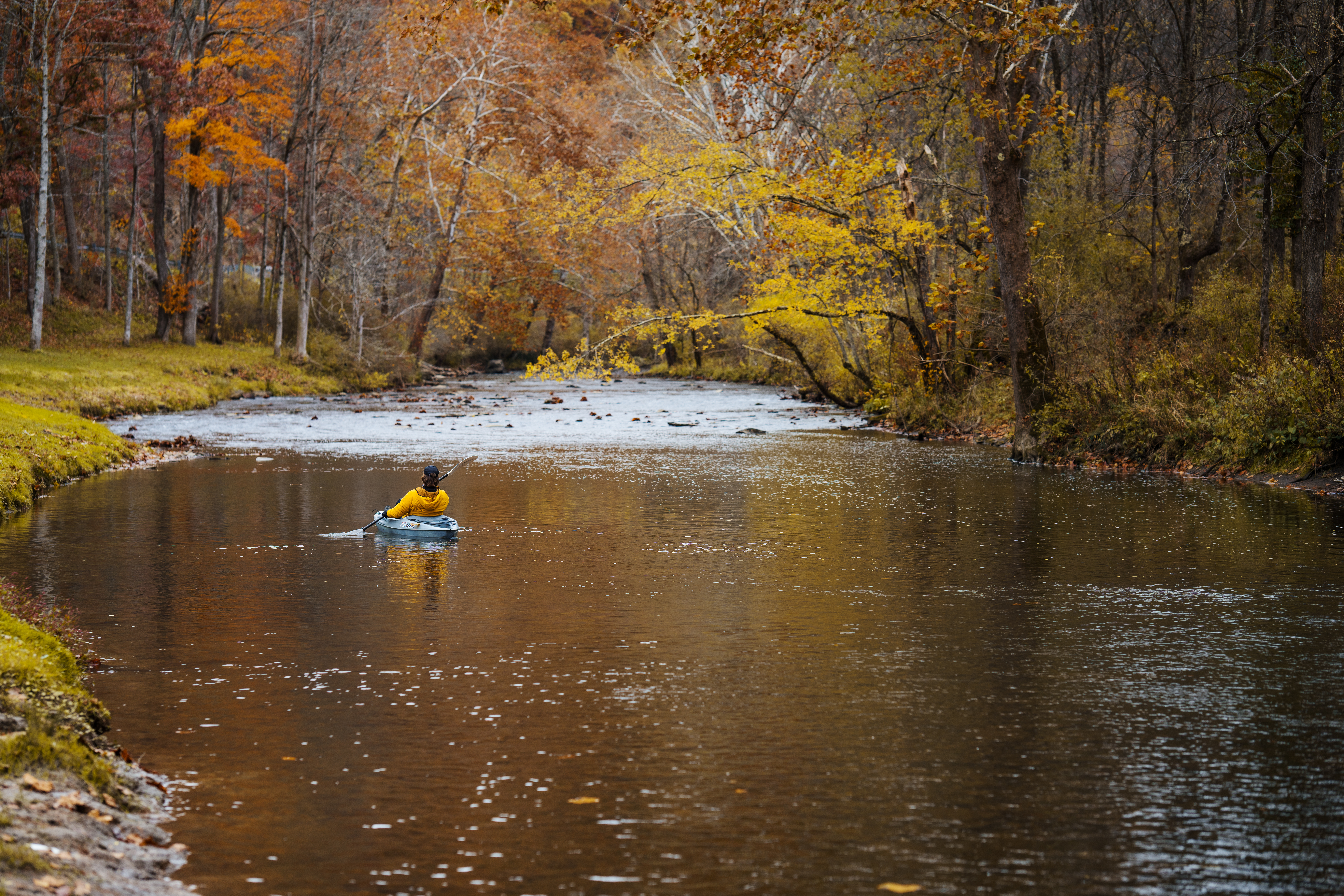 A person in a yellow jacket kayaks down a calm river surrounded by autumn trees in full color in Mercer County, West Virginia.
