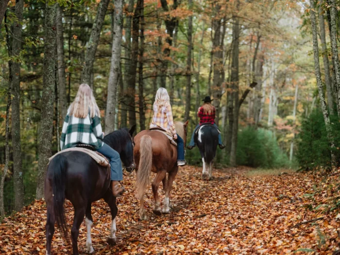 Three people horseback riding on a trail covered with autumn leaves through a forest.