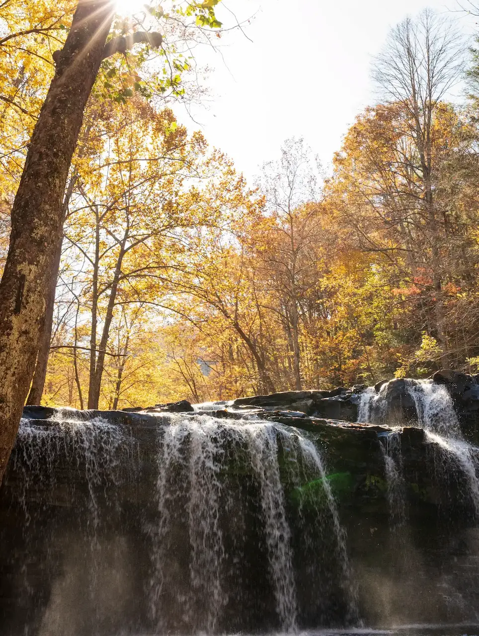 Sunlight gleams through brightly colored fall foliage above a rippling waterfall. A small rainbow is visible in the mist of the waterfall