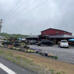 Exterior view of Market Over Yonder, a large red barn-style market with a black metal roof, seen from the roadside on an overcast day. Colorful hanging baskets, flowering plants, and garden displays line the front entrance while several vehicles are parked in the gravel lot. Rolling green hills and utility lines are visible in the background.